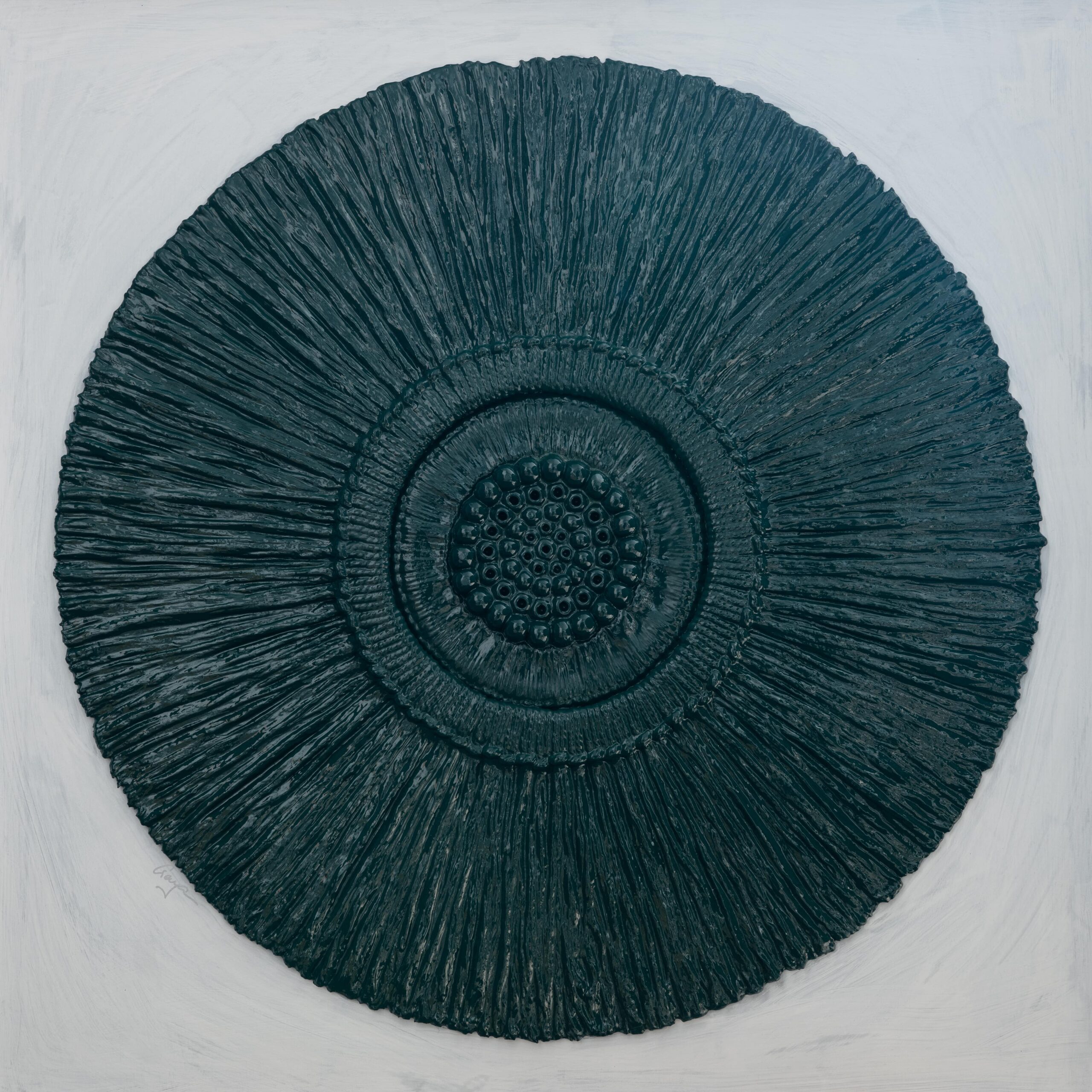 nucleo raiz nucleo raiz